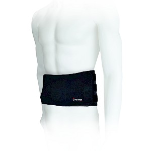 Gladiator Sports Back Brace